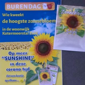 De Hoogste Zonnebloem – Kotermeerstal Zuid